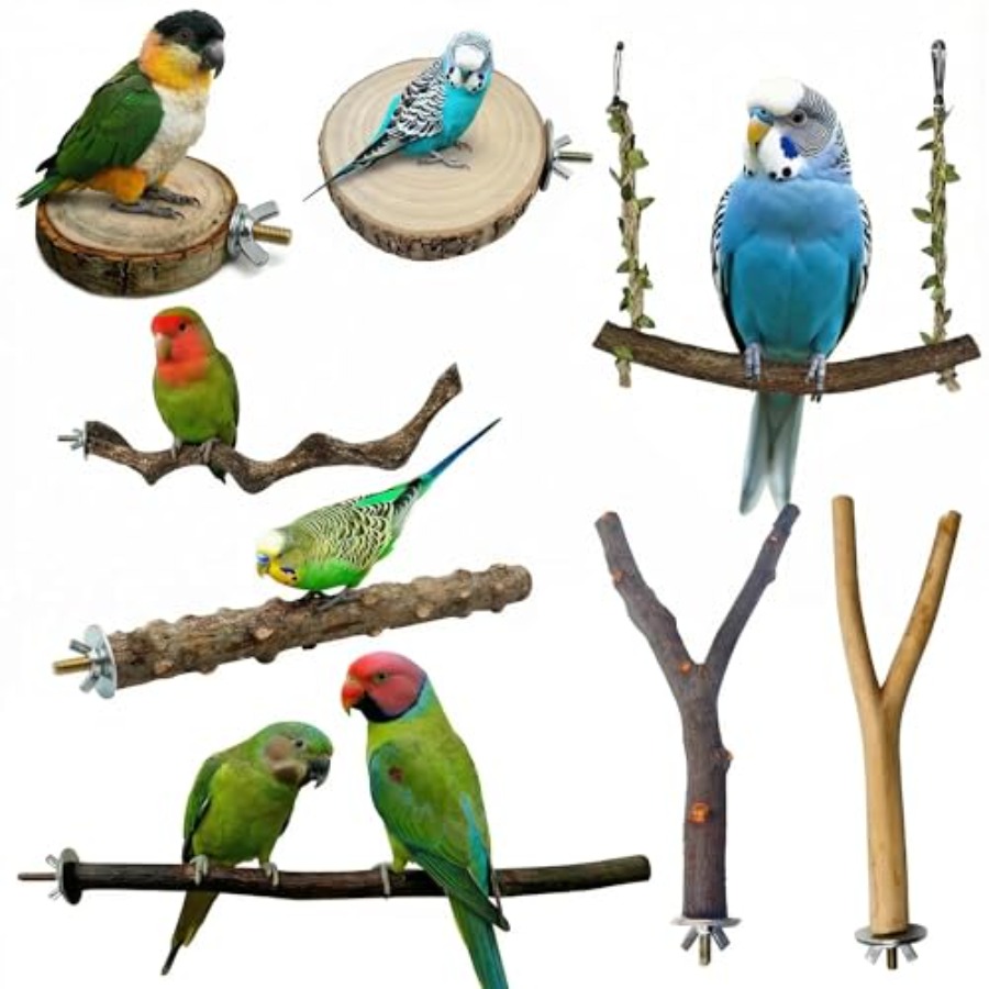 Health & Wellness Unlimited - 8 Stück Vogelsitzstangen aus Naturholz für