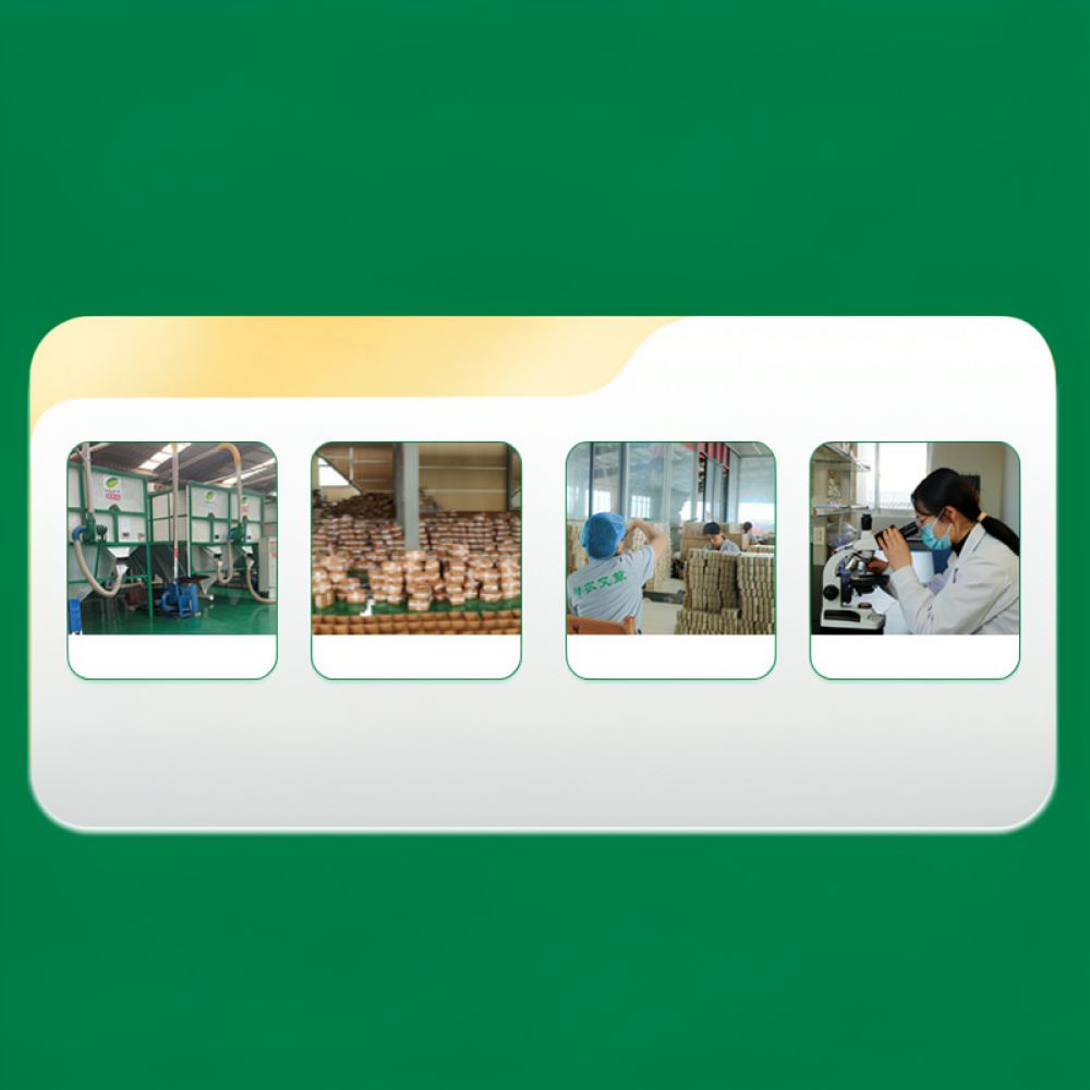 Rauchfreier, karbonisierter Mo – Therapy Health And Wellness Bewertung und Preis