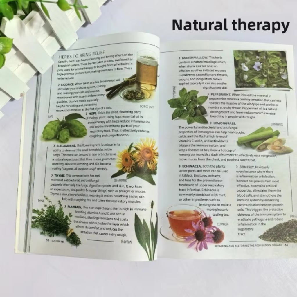 Sustain Me Barbara O'Neill Ein – Health Wellness Lifestyle Bewertung und Preis