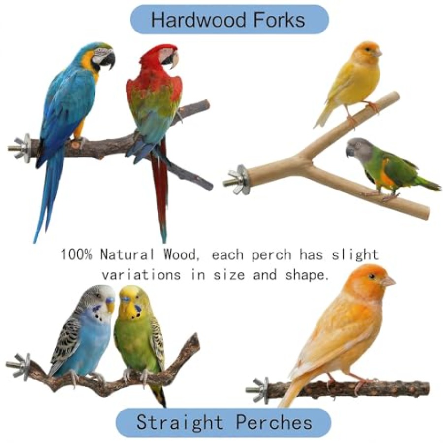 8 Stück Vogelsitzstangen aus N – Health & Wellness Unlimited Bewertung und Preis